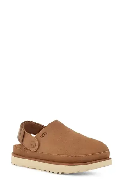 Goldenstar Clog