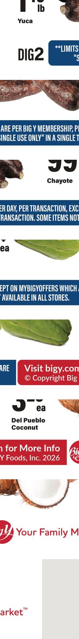 Big Y weekly ad page 5