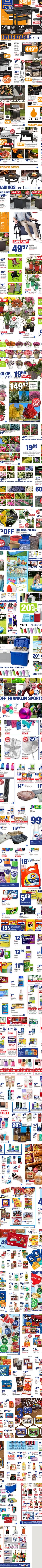 Lewis Drug weekly ad cover