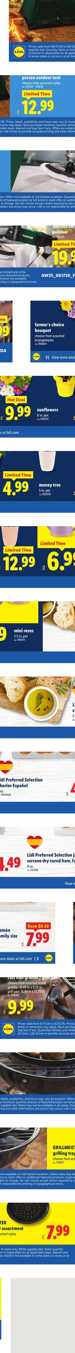 Lidl weekly ad page 6
